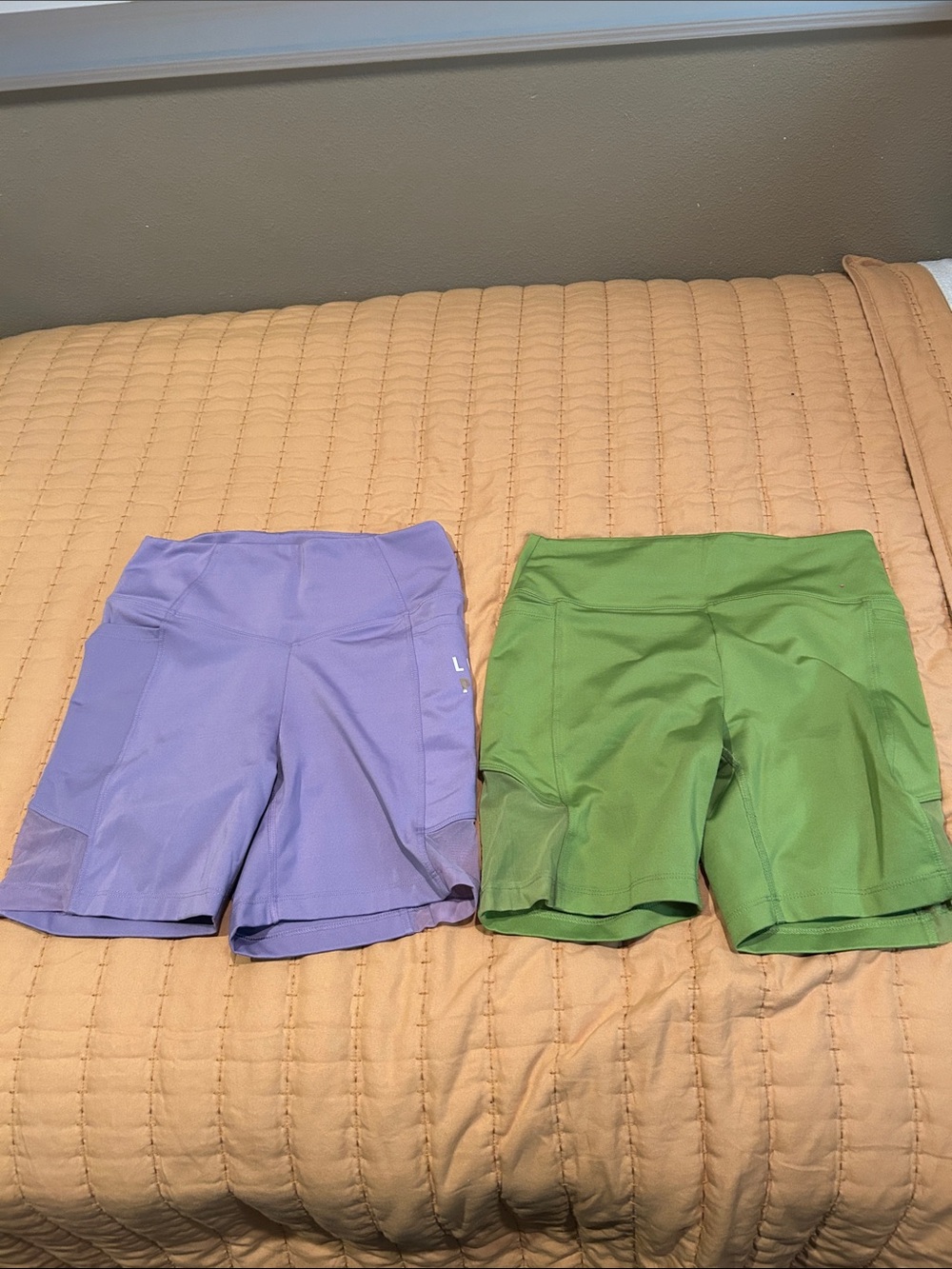 PINK Victoria's Secret Lavender and Green Bike Shorts Duo